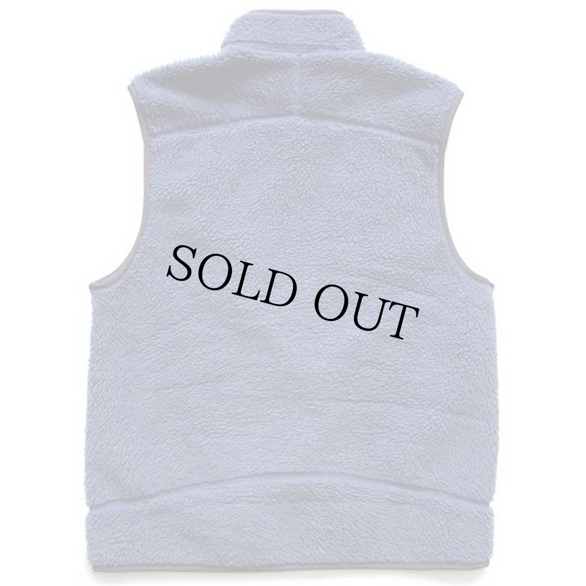 画像2: 00s patagoniaパタゴニア クラシック レトロX フリースベスト HGB S (2)