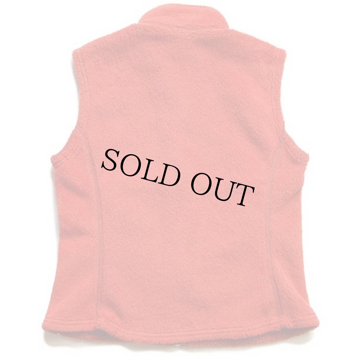 画像2: 00s USA製 patagoniaパタゴニア R2 POLARTEC フリースベスト パーシモン W-S★刺繍ロゴ (2)