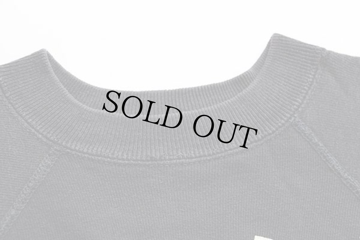 画像5: 60s ARKANSAS RAZORBACKS イノシシ カラーフロッキープリント コットン スウェット 黒 (5)