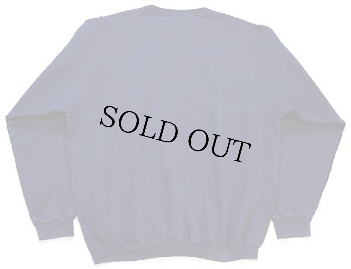 画像2: 90s メキシコ製 Hanes DEATH VALLEY NATIONAL PARK 刺繍 スウェット 紺 XL★国立公園 (2)