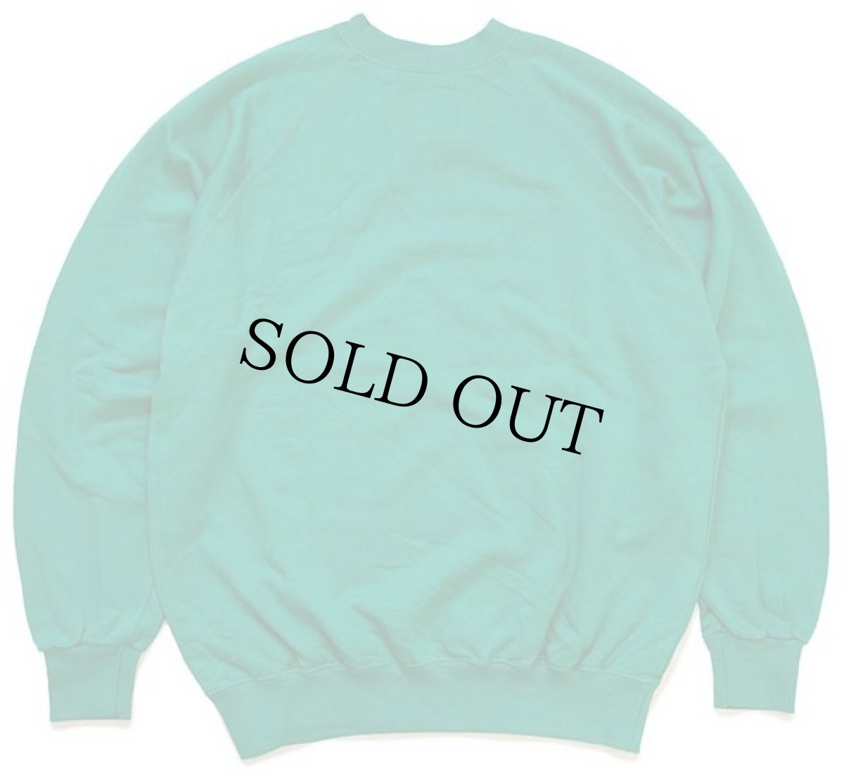 画像2: デッドストック★80s イタリア製 Championチャンピオン スクリプト ビッグロゴ 前V スウェット 緑 L (2)