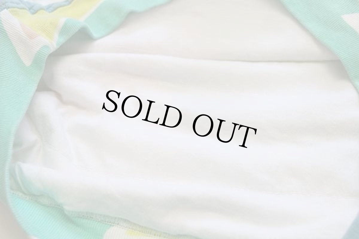 画像5: 90s OTHER DESTINATION アート 中綿入り コットン スウェット パステルカラー (5)