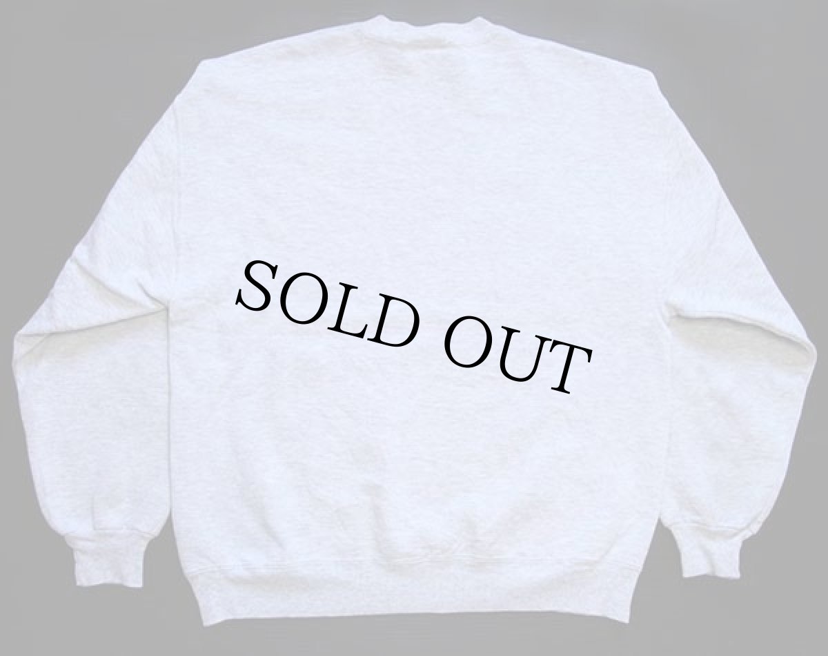 画像2: 90s USA製 ARDEN PANTHERS スウェット 杢ライトグレー L (2)