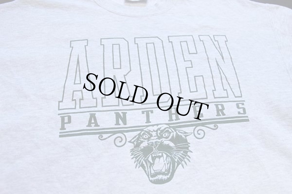 画像3: 90s USA製 ARDEN PANTHERS スウェット 杢ライトグレー L (3)