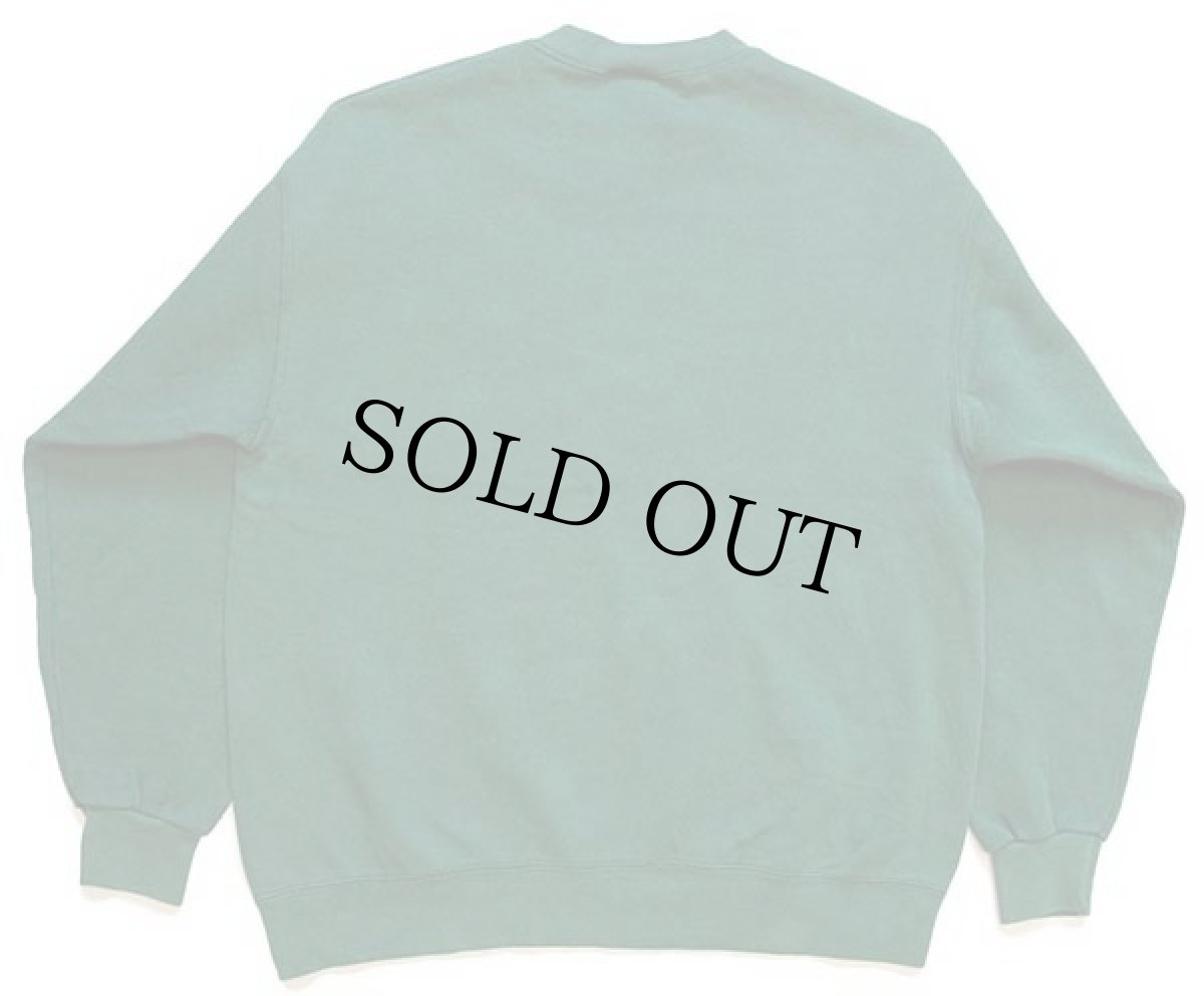 画像2: 90s USA製 Leeリー NDSD ブルドッグ 刺繍 スウェット 緑 L (2)