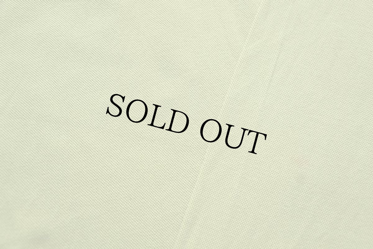 画像6: イタリア製 VALENTINO STUDIO コットン 鹿の子 長袖ポロシャツ 黄緑 L (6)