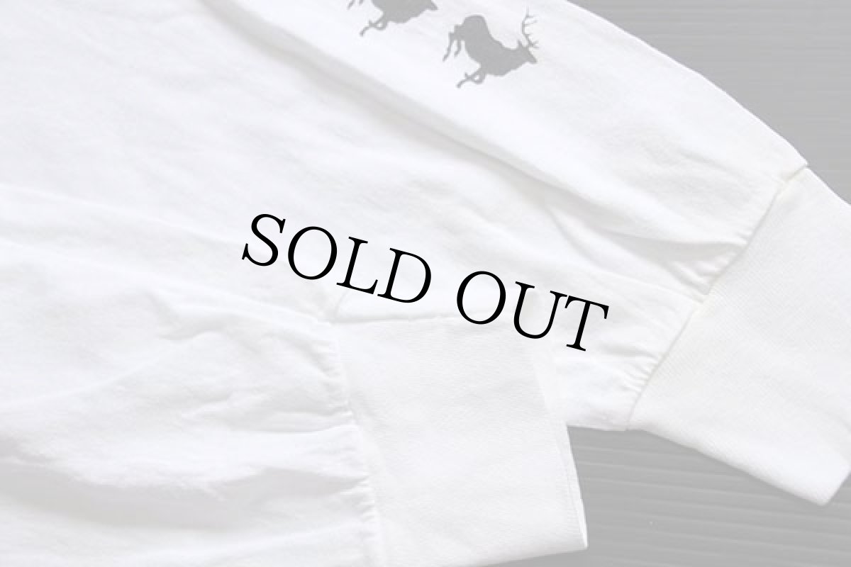 画像6: 80s USA製 GOING TO THE SUN GLACIER PARK アート コットン 長袖Tシャツ 白 XL (6)