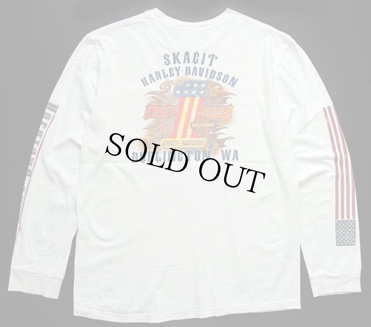画像2: 00s HARLEY-DAVIDSON ハーレー ダビッドソン SKAGIT 両面プリント コットン ポケット付き 長袖Tシャツ 白 L (2)