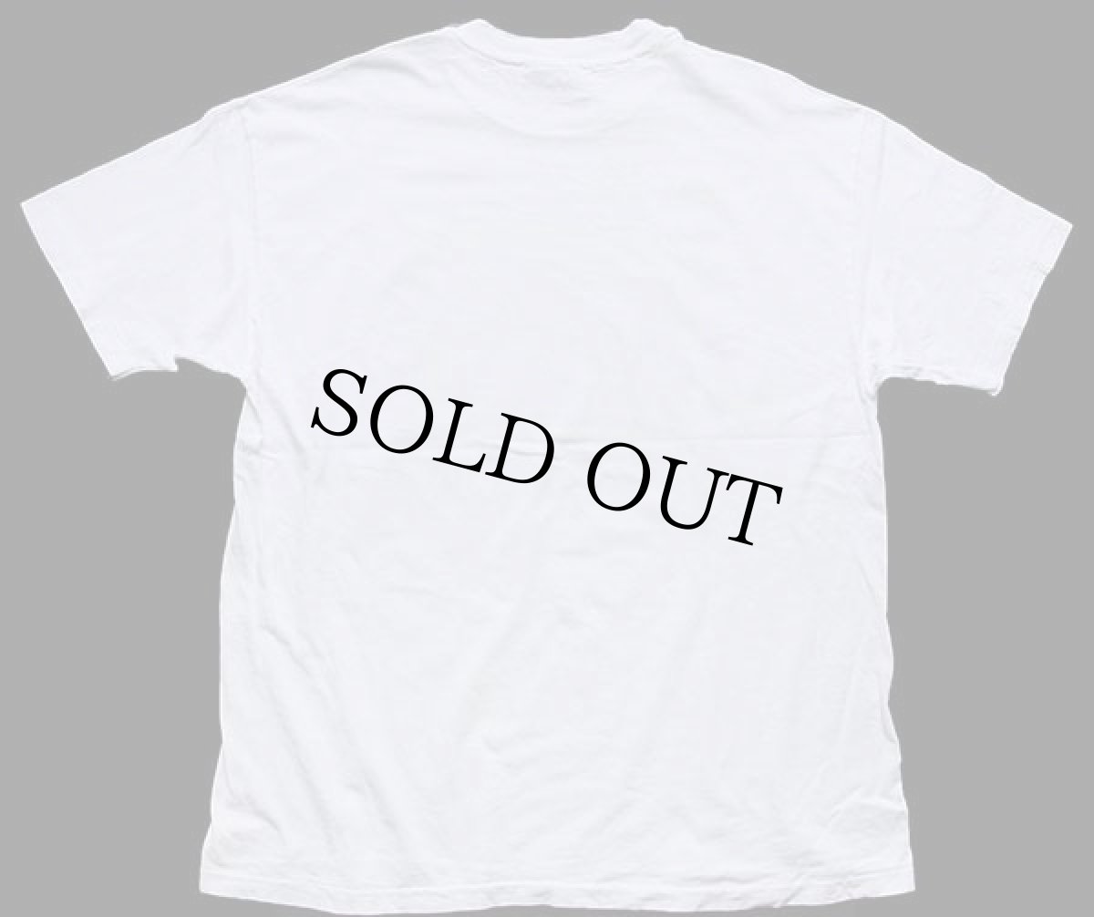 画像3: 90s USA製 Hanes FINTASTIC! TENNESSEE AQUARIUM フィッシュ アート コットンTシャツ 白 XL (3)