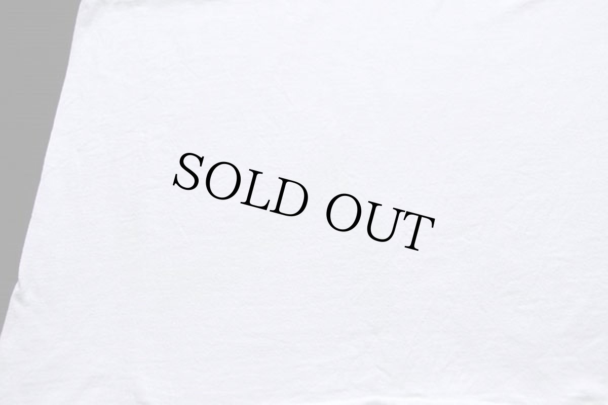 画像7: 90s USA製 Hanes BANCTEC SEA ADVENTURE HAWAII 熱帯魚 コットンTシャツ 白 XL (7)