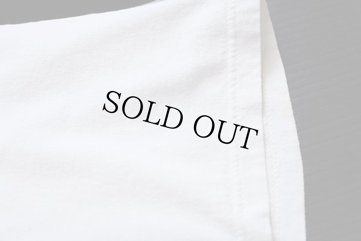 画像5: 90s USA製 RUSSELLラッセル FSU SEMINOLES ビッグロゴ コットンTシャツ 白 XL (5)