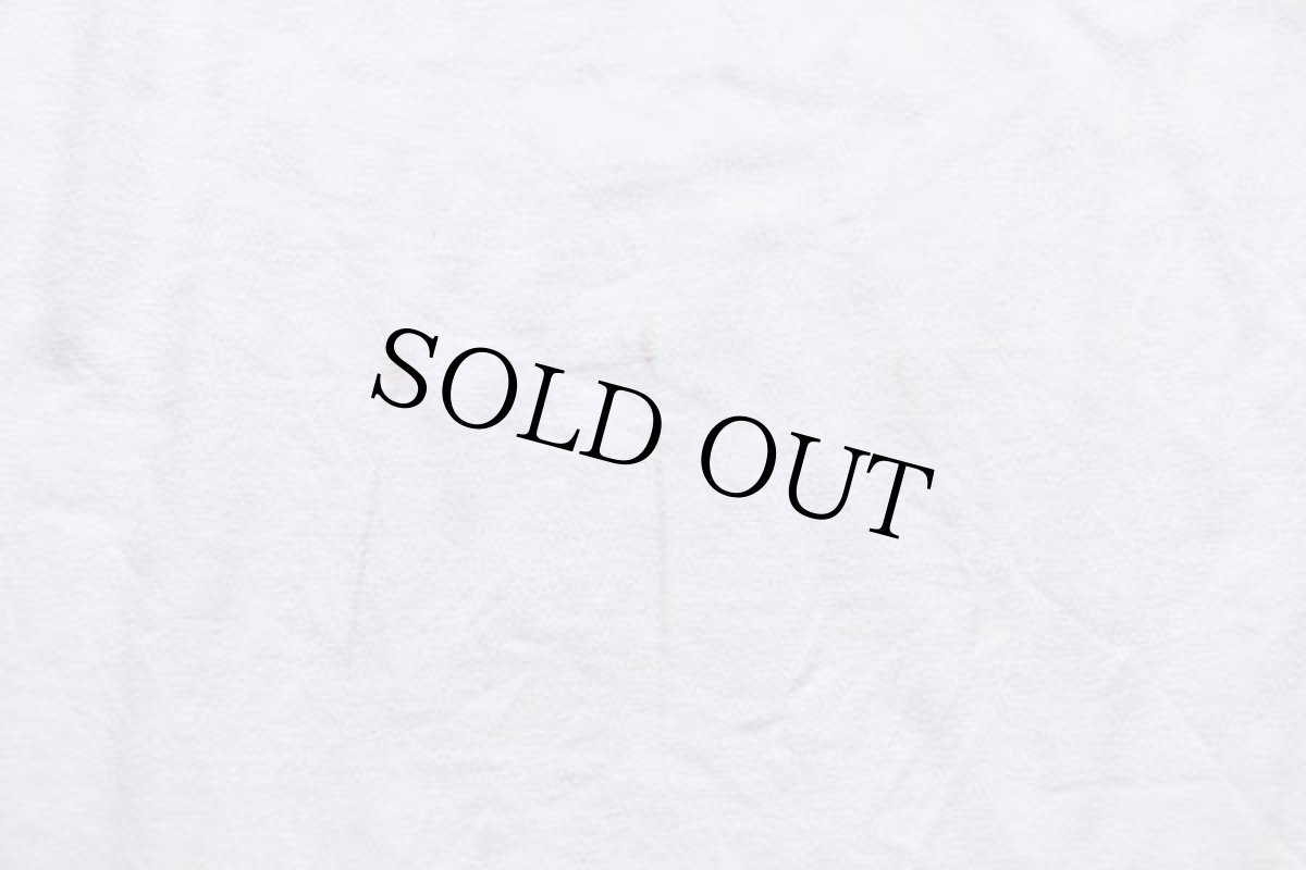 画像8: 90s USA製 Hanes BANCTEC SEA ADVENTURE HAWAII 熱帯魚 コットンTシャツ 白 XL (8)