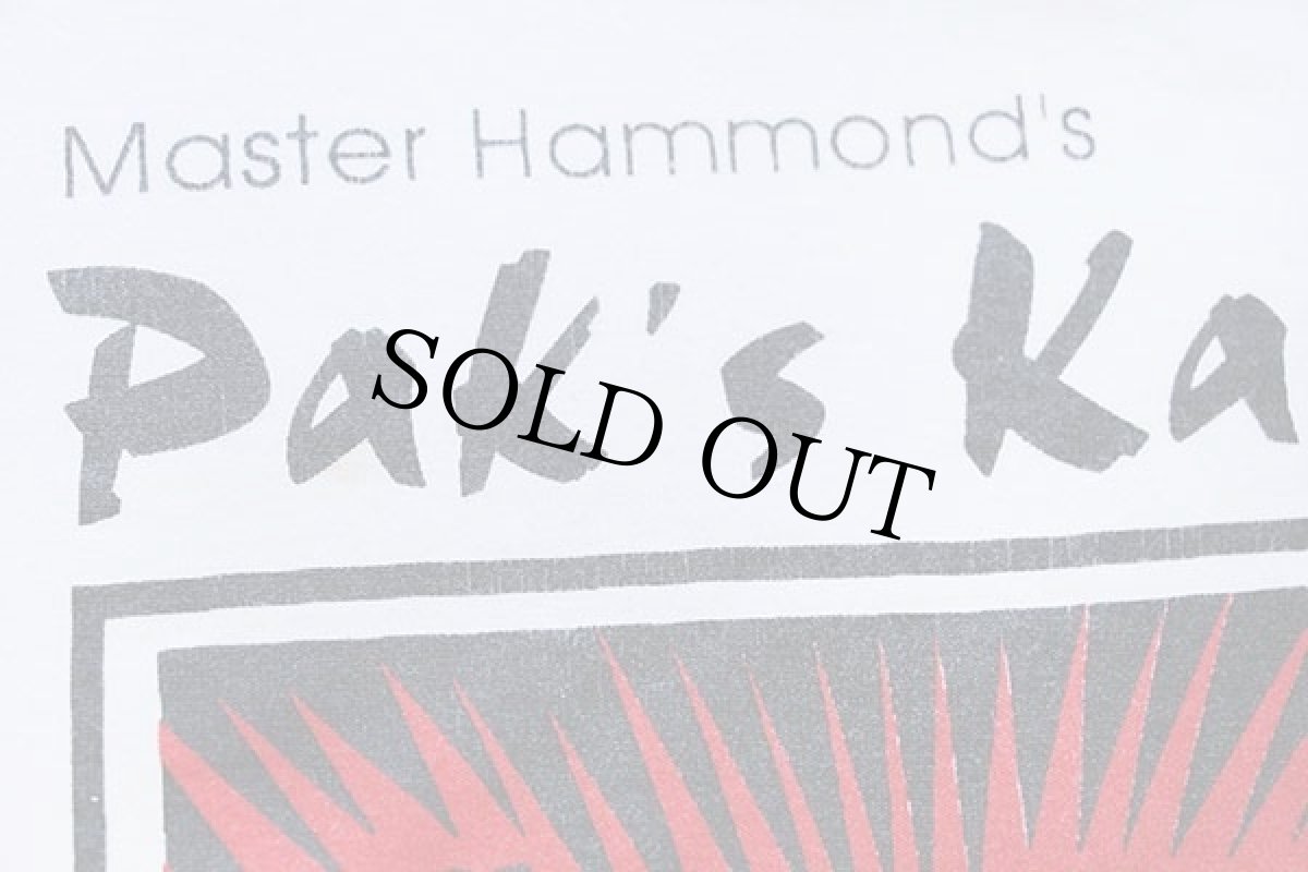 画像5: 90s USA製 Master Hammond's Pak's Karate Above everyone Else 空手 アート Tシャツ 白 L (5)