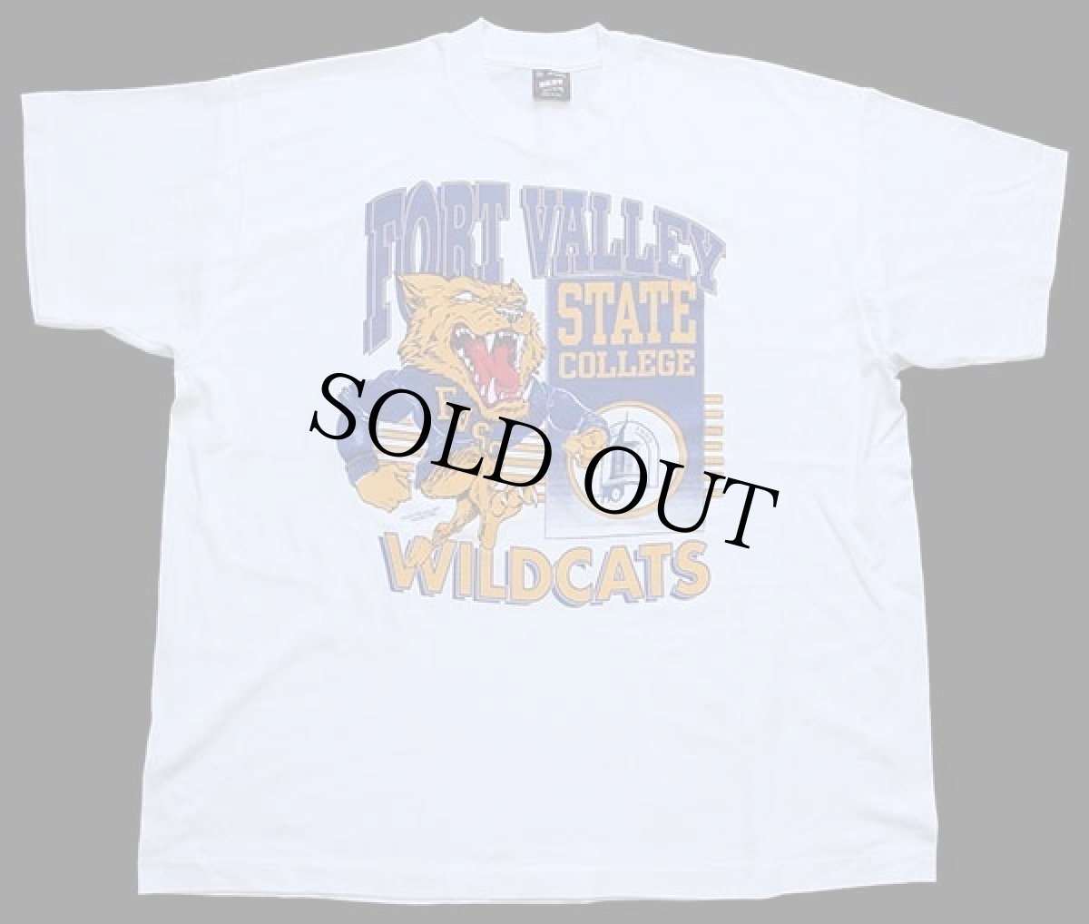 画像2: 90s USA製 FORT VALLEY STATE COLLEGE WILDCATS Tシャツ 白 XXL (2)
