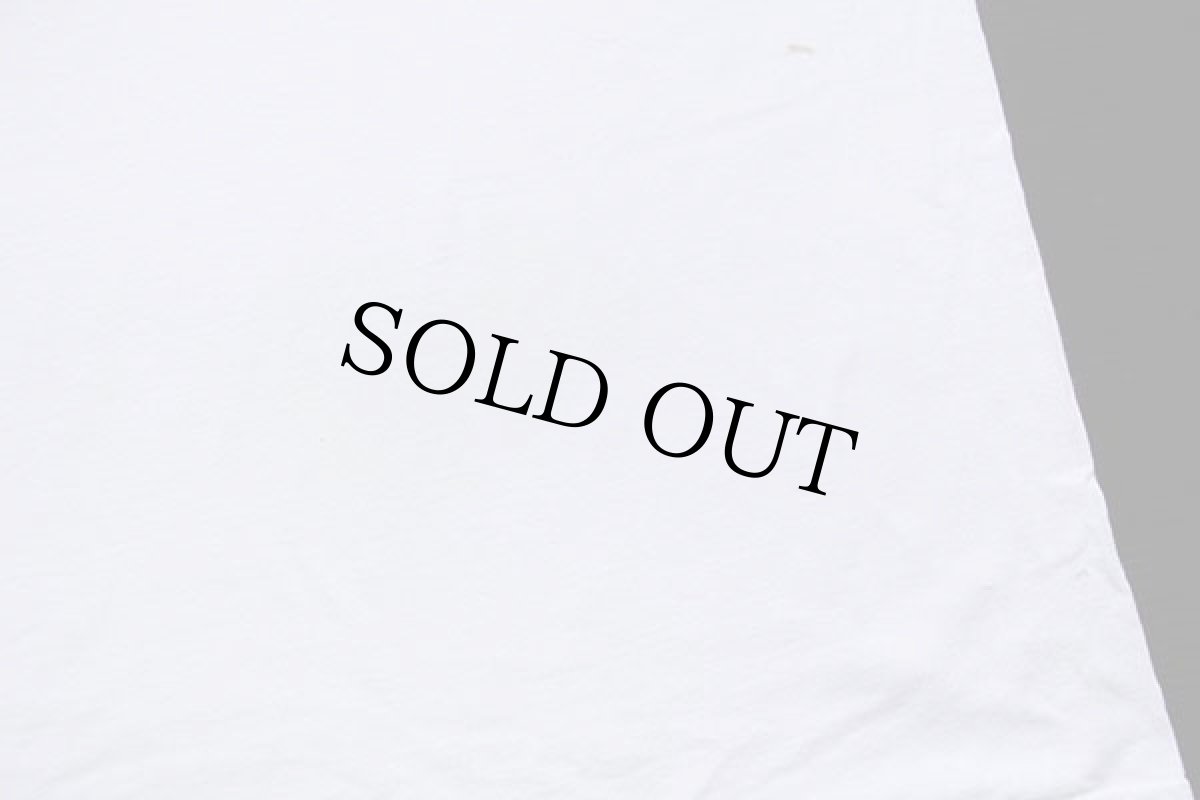 画像6: 90s USA製 ライオン アート コットンTシャツ ペンキ飛び 白 特大 (6)