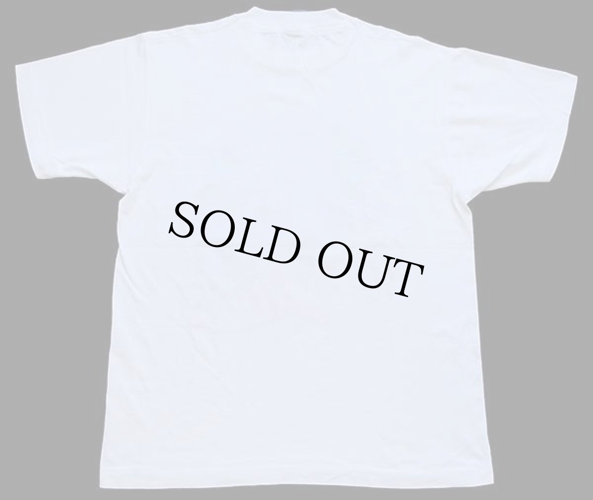 画像3: 90s USA製 Moore Lions ライオン Tシャツ 白 L (3)