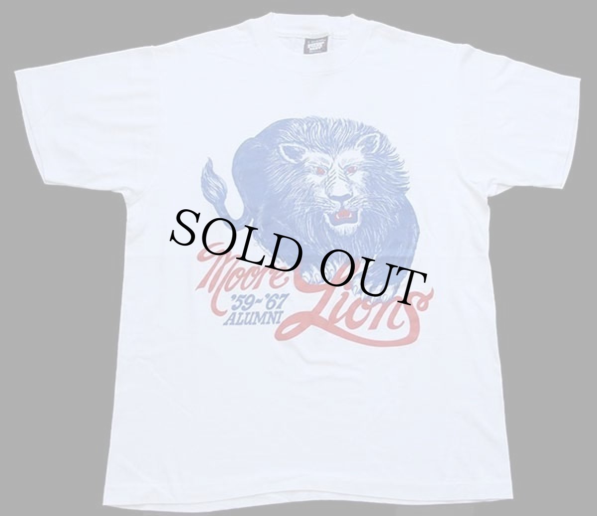 画像2: 90s USA製 Moore Lions ライオン Tシャツ 白 L (2)