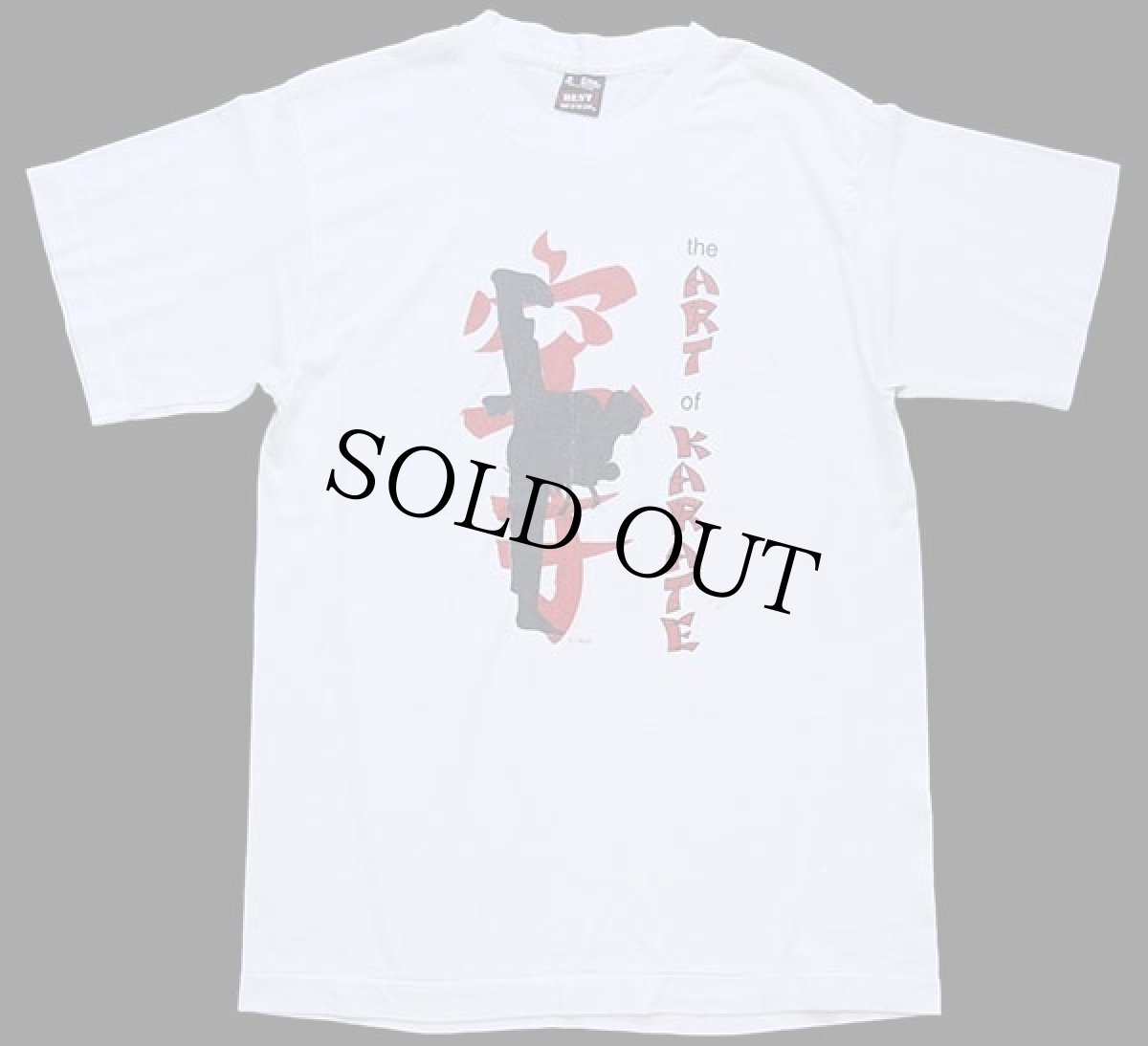 画像2: 90s USA製 the ART of KARATE 空手 アート Tシャツ 白 M (2)