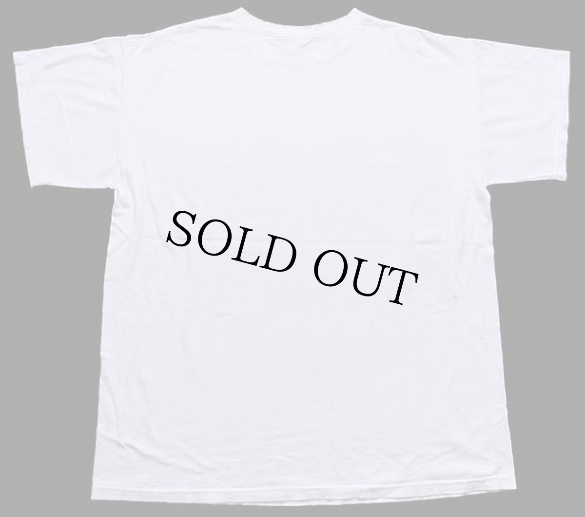 画像3: 90s USA製 ライオン アート コットンTシャツ ペンキ飛び 白 特大 (3)