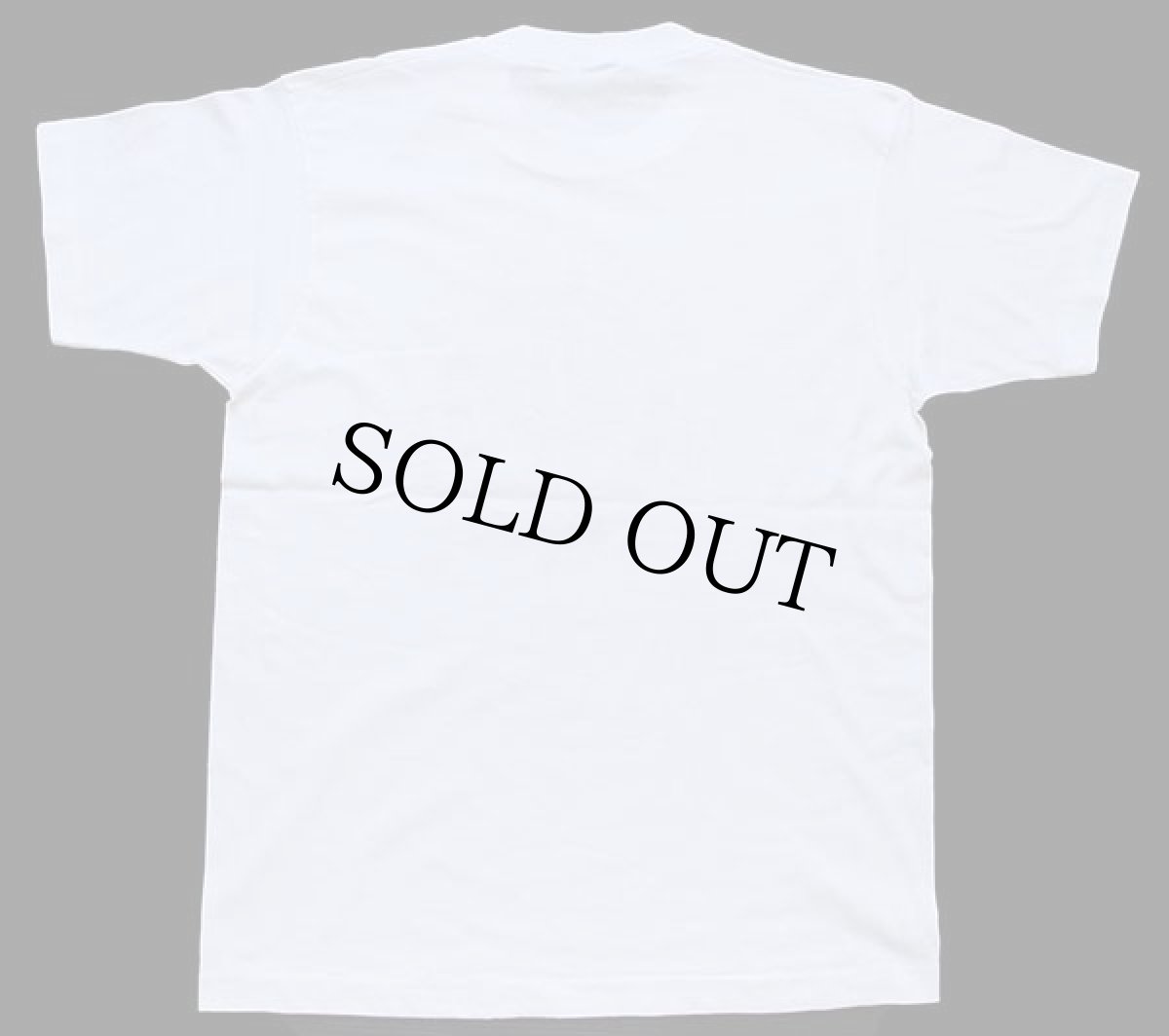 画像3: 90s USA製 BALLARD-HUDSON 1951 CLASS REUNION TIGERS タイガー Tシャツ 白 L (3)