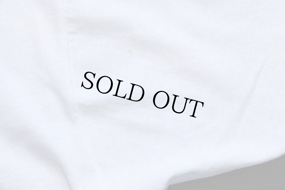 画像6: 90s USA製 Moore Lions ライオン Tシャツ 白 L (6)