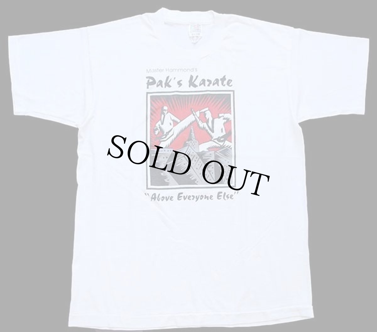 画像2: 90s USA製 Master Hammond's Pak's Karate Above everyone Else 空手 アート Tシャツ 白 L (2)