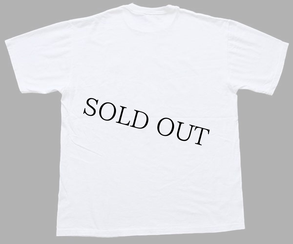 画像3: 90s USA製 INTERNATIONAL BALLOON FIESTA KODAK ALBUQUERQUE アート コットンTシャツ 白 XL (3)