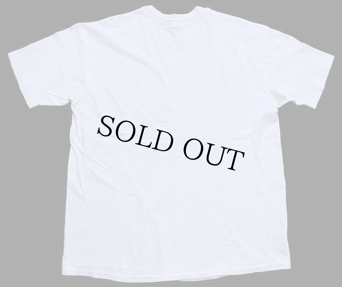 画像3: 90s USA製 Hanes MLB RED SOX vs CHICAGO CUBS コットンTシャツ 白 XL (3)