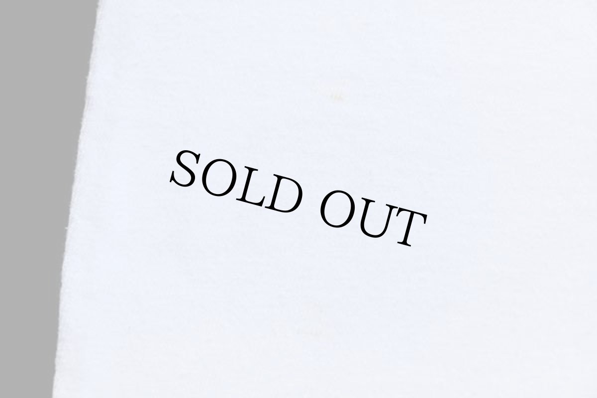 画像6: 90s USA製 Hanes MLB RED SOX vs CHICAGO CUBS コットンTシャツ 白 XL (6)