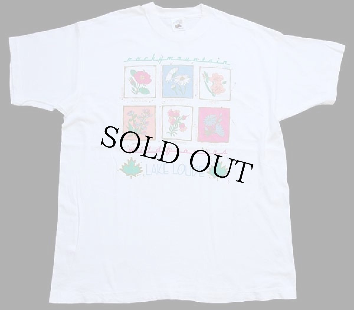 画像2: 90s カナダ製 rocky mountain wildflowers フラワー アート コットンTシャツ 白 XL (2)