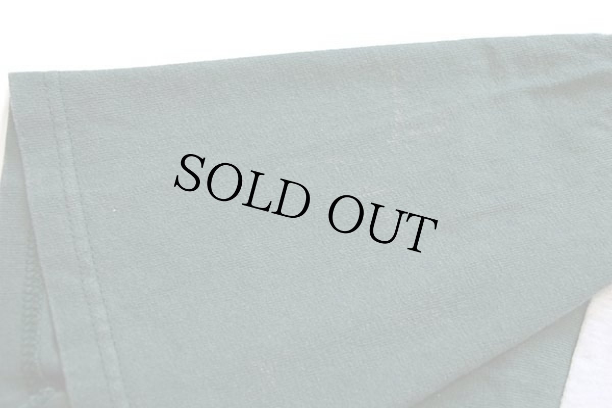 画像5: 90s DEA WYOMING 麻薬取締局 刺繍 ツートン ヘンリーネック コットンTシャツ 杢ライトグレー×緑 XL (5)