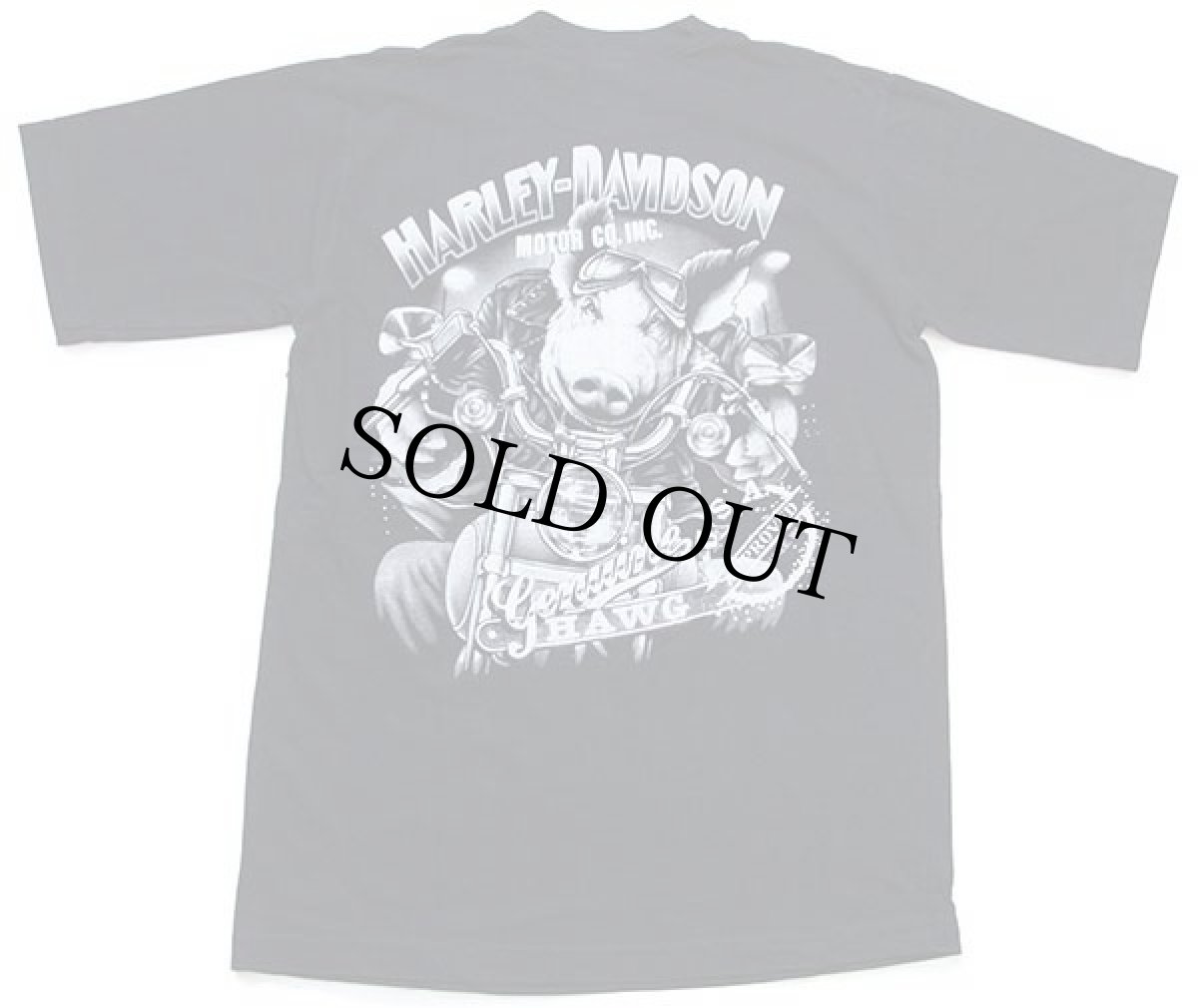 画像3: 00s HARLEY-DAVIDSON ハーレー ダビッドソン HAWG ピッグ 両面プリント コットンTシャツ 黒 (3)
