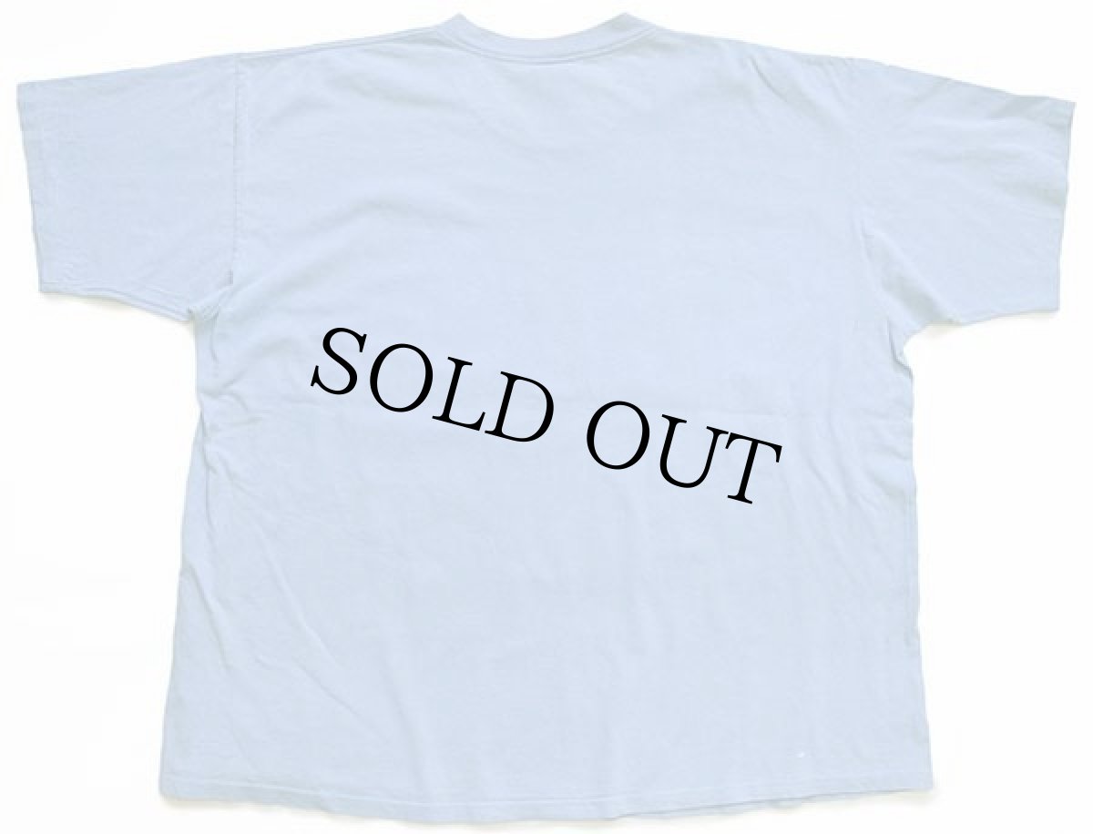 画像3: 90s USA製 Warner Bros LOONEY TUNES DO I LOOK LIKE I CARE? TWEETYトゥイーティー コットンTシャツ 水色 22W (3)