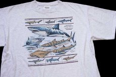 画像1: 90s USA製 SHARKS of the WORLD サメ コットンTシャツ 杢グレー XL (1)