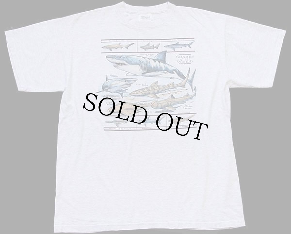 画像2: 90s USA製 SHARKS of the WORLD サメ コットンTシャツ 杢グレー XL (2)