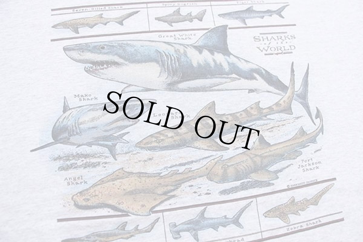 画像4: 90s USA製 SHARKS of the WORLD サメ コットンTシャツ 杢グレー XL (4)