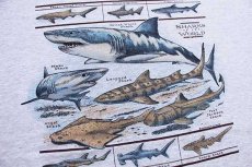 画像4: 90s USA製 SHARKS of the WORLD サメ コットンTシャツ 杢グレー XL (4)