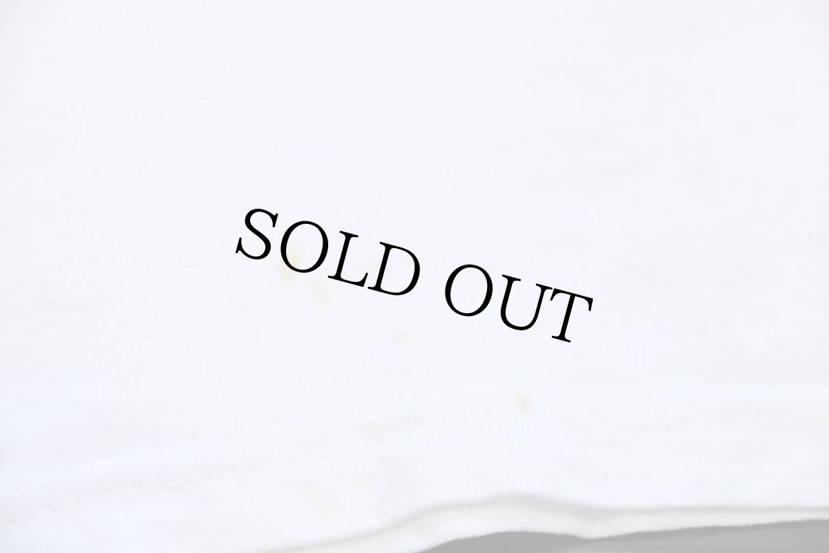 画像6: 00s Hanes NASCAR TERRY LABONTE LOONEY TUNES ロードランナー 両面プリント コットンTシャツ 白 XL (6)