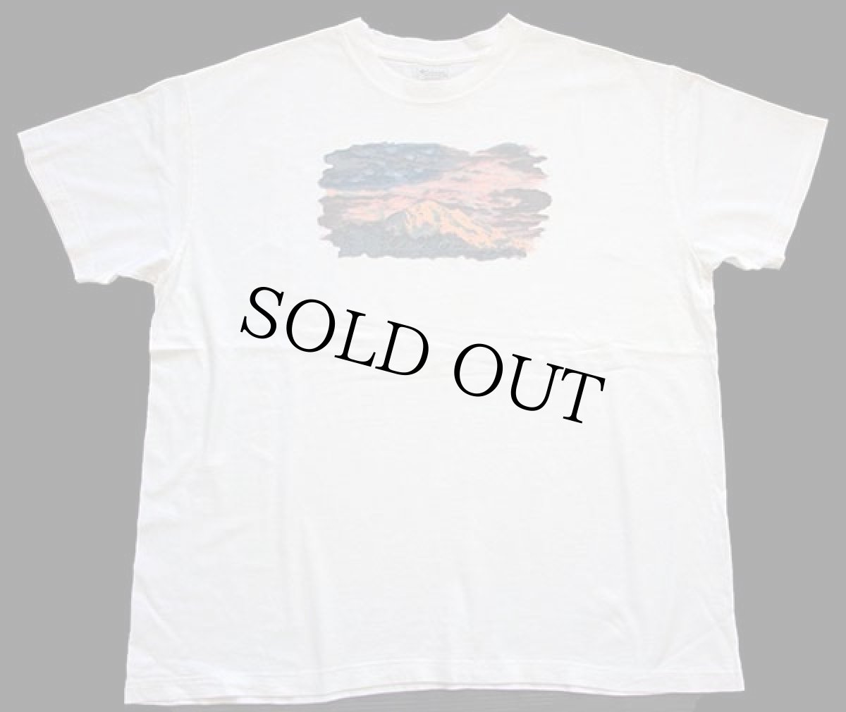 画像2: 00s Columbiaコロンビア マウンテン アート コットンTシャツ 白 XL (2)