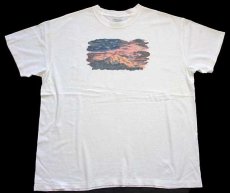 画像2: 00s Columbiaコロンビア マウンテン アート コットンTシャツ 白 XL (2)