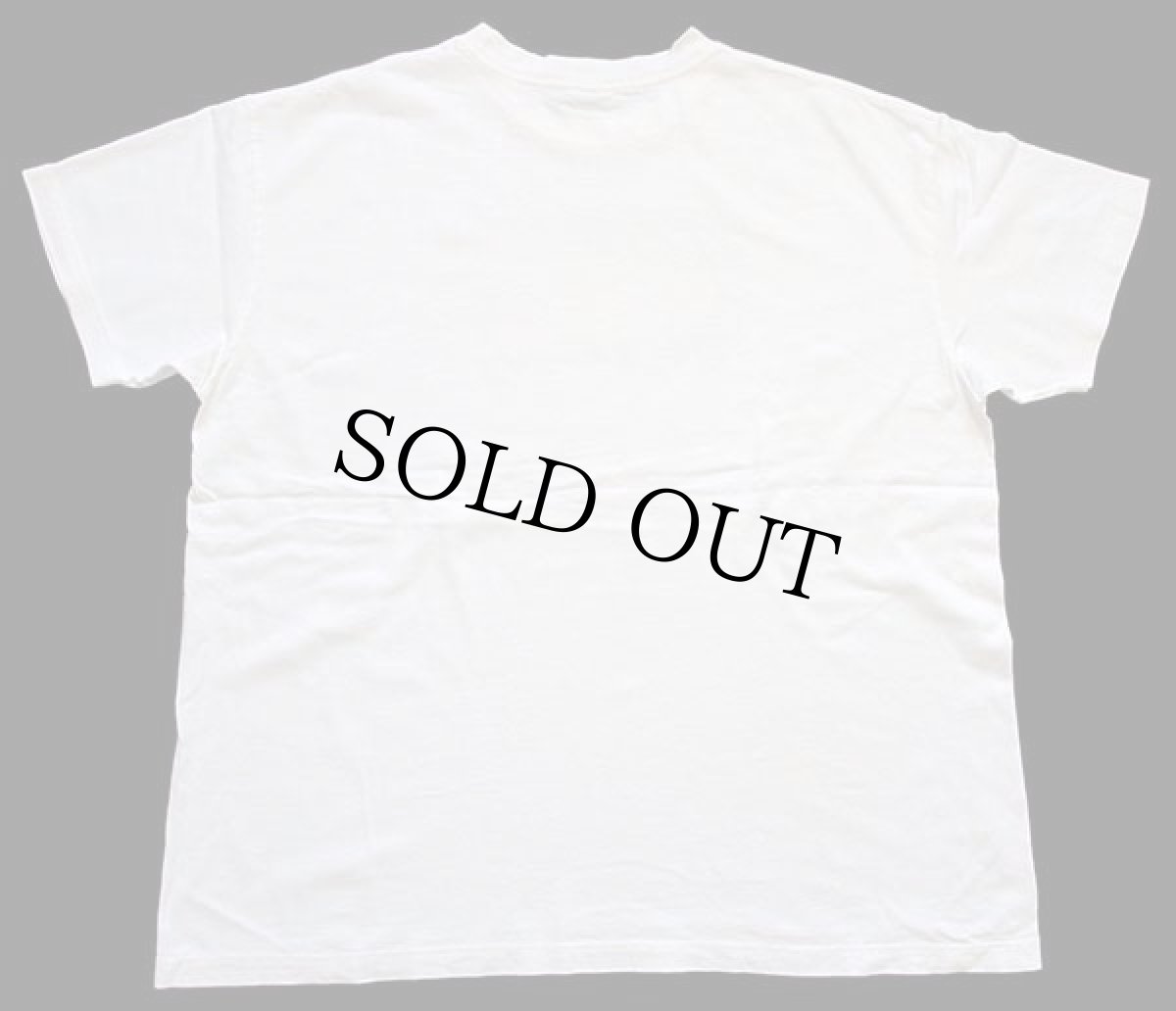 画像3: 00s Columbiaコロンビア マウンテン アート コットンTシャツ 白 XL (3)