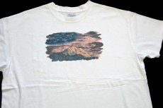 画像1: 00s Columbiaコロンビア マウンテン アート コットンTシャツ 白 XL (1)