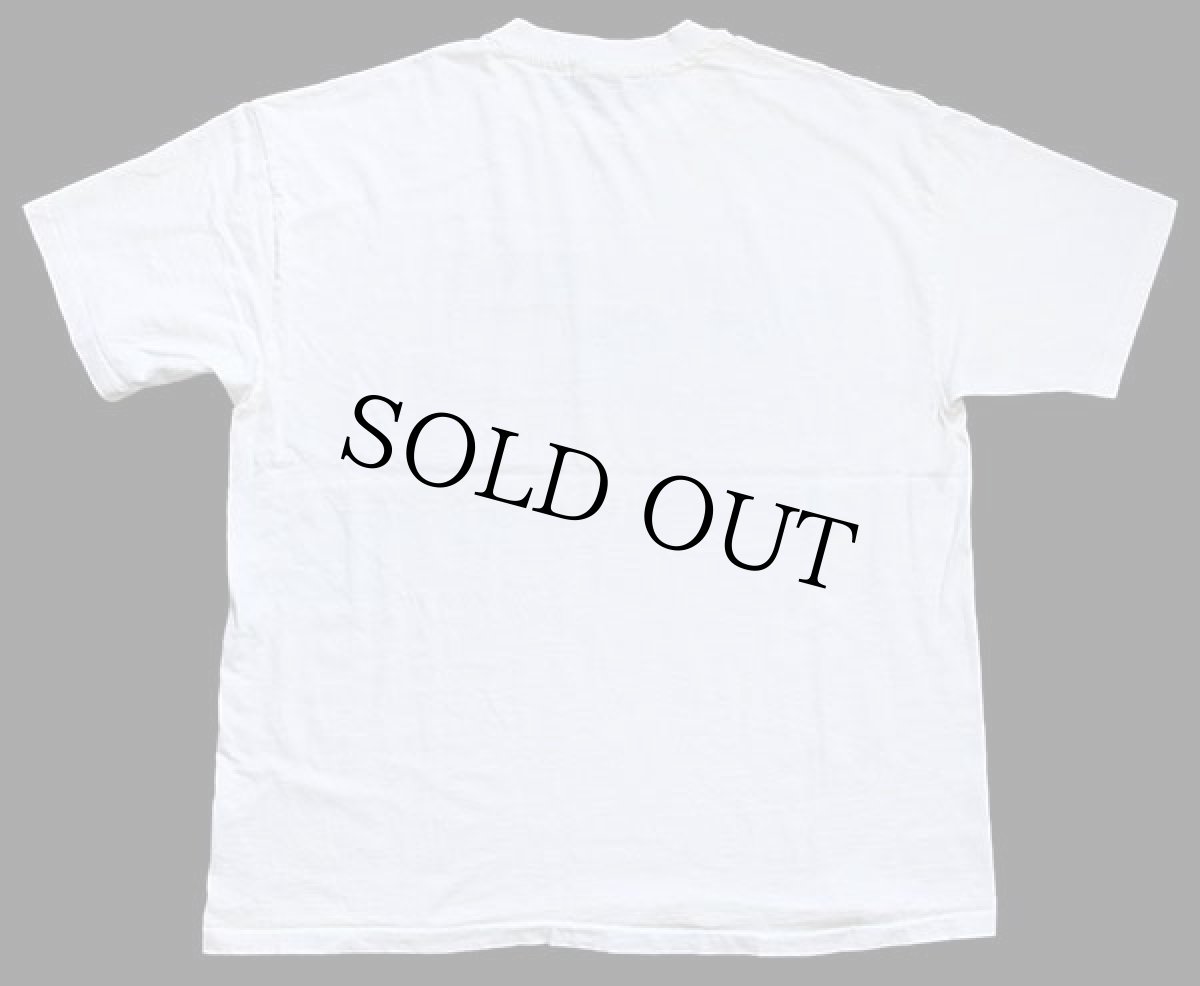 画像3: 90s Hanes SHOOTING STARS INDIAN NATIONS COUNCIL BSA ボーイスカウト コットンTシャツ 白 XL (3)