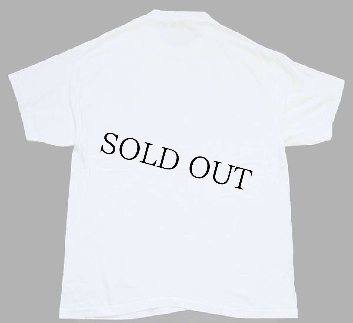 画像3: Hanes Microsoft .net マイクロソフト ロゴ コットンTシャツ 白 L (3)