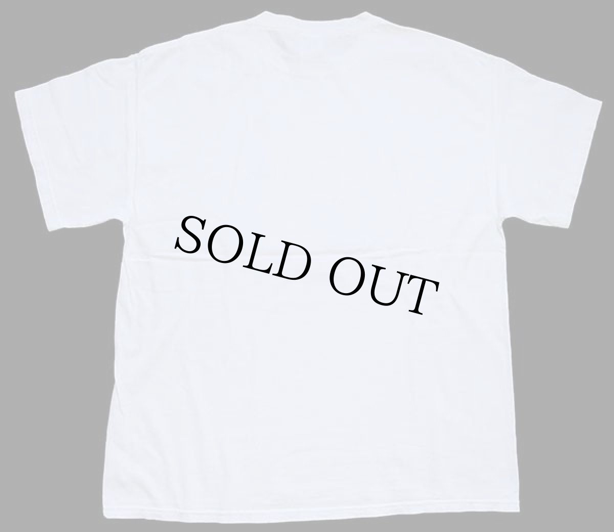 画像3: 00s FOX Family Guy You know you want me. ファミリーガイ グリフィン コットンTシャツ 白 L (3)