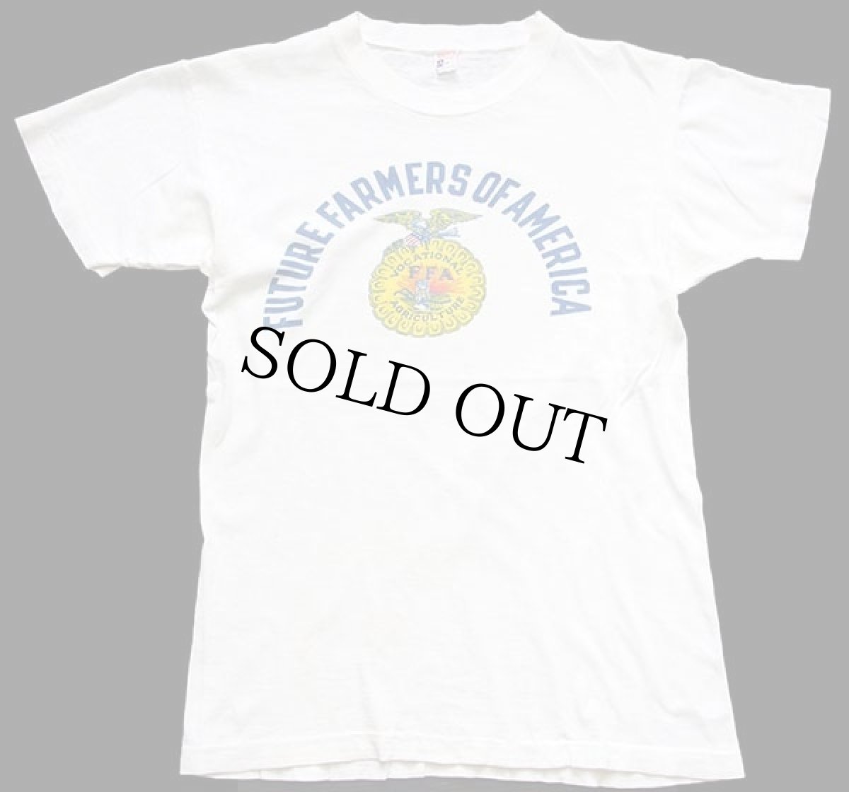 画像2: 60s CHAMPIONチャンピオン ランタグ FFA FUTURE FARMERS OF AMERICA 染み込みプリント コットンTシャツ 白 M (2)