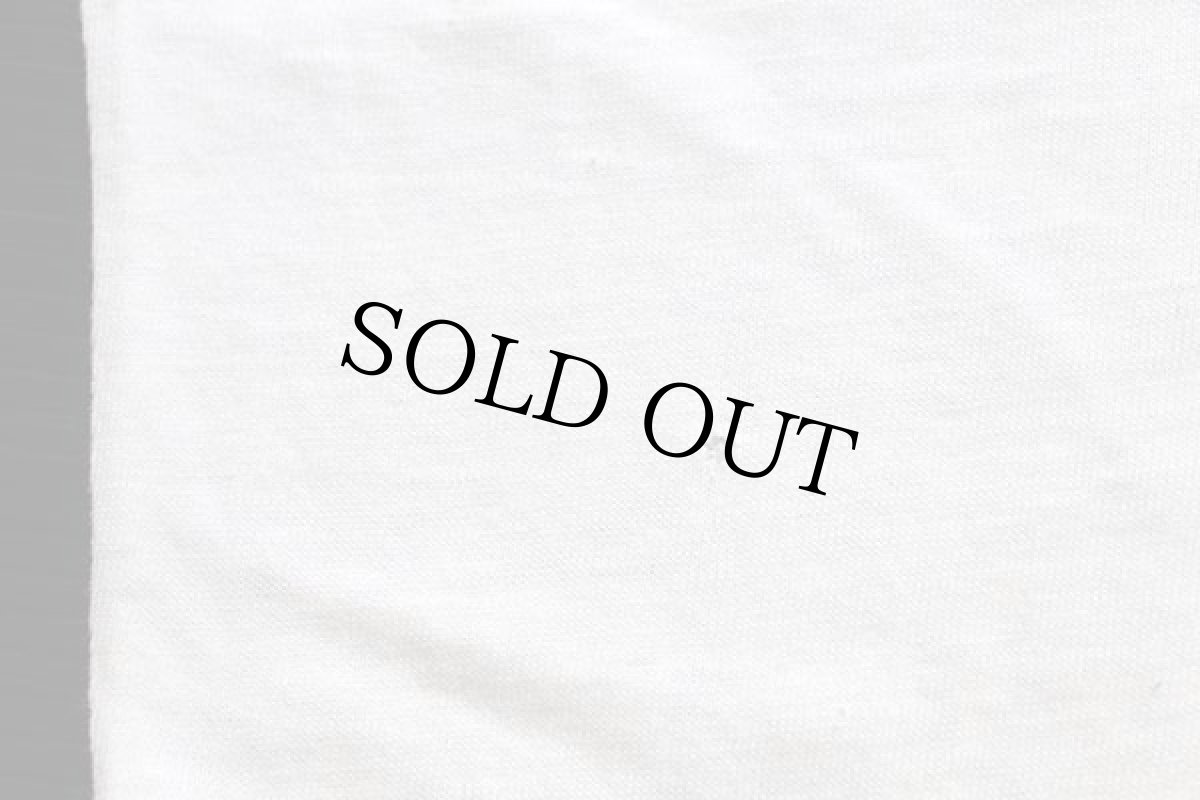 画像7: 60s CHAMPIONチャンピオン ランタグ FFA FUTURE FARMERS OF AMERICA 染み込みプリント コットンTシャツ 白 M (7)