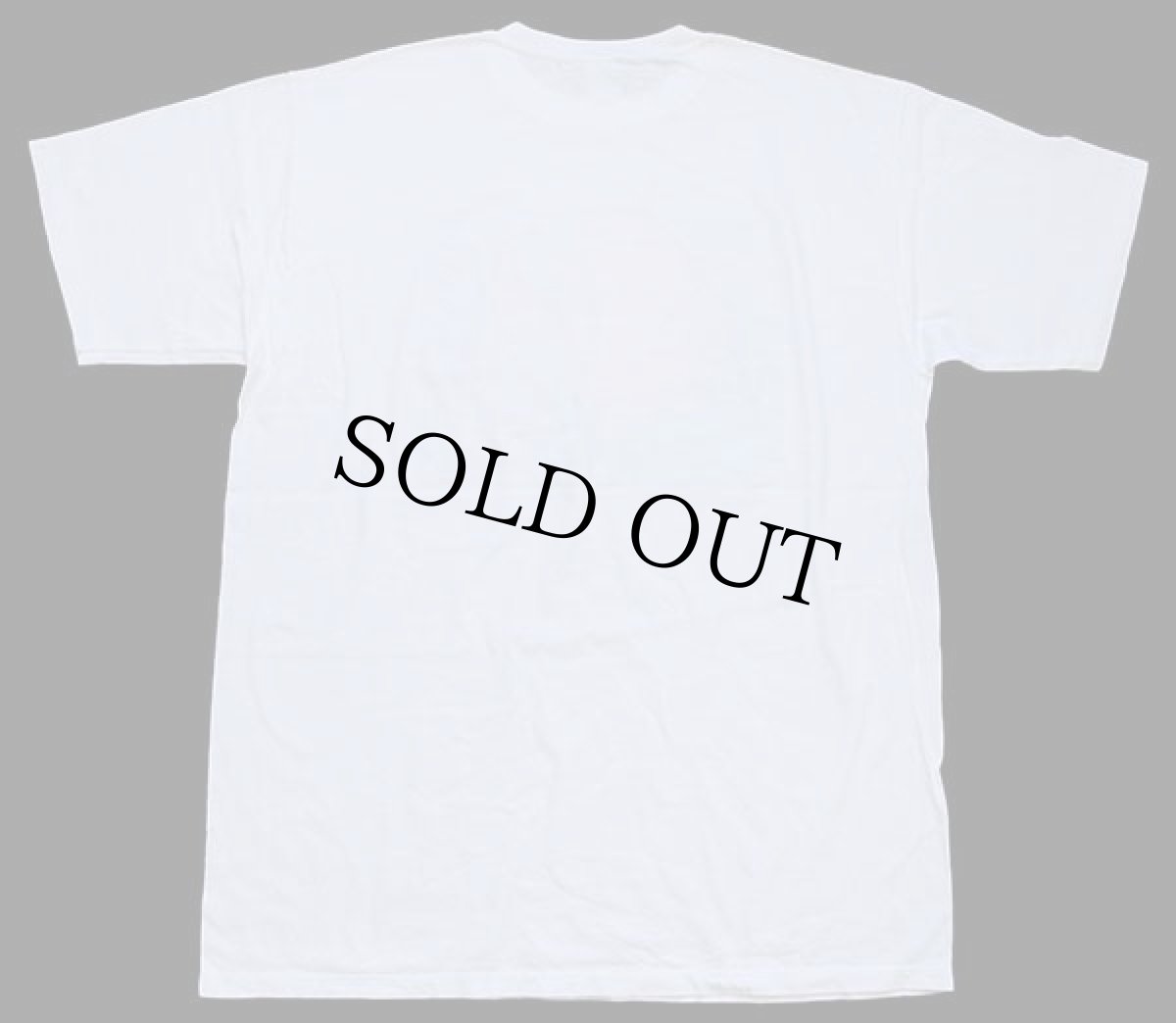 画像3: 90s USA製 RUSSELLラッセル daytona beach 熱帯魚 発泡プリント アート コットンTシャツ 白 XL (3)