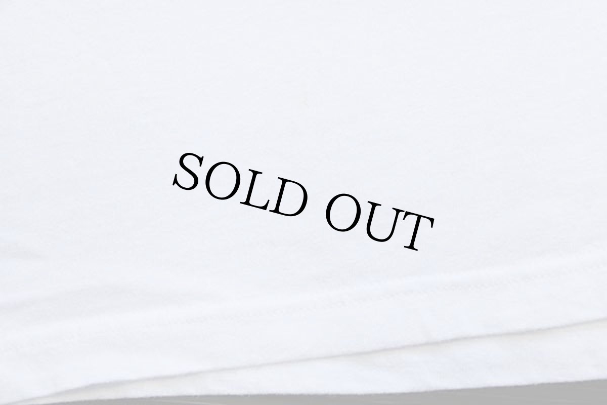 画像6: 90s NASCAR PETTY 44 HOT Wheelsホットウィール 両面プリント コットンTシャツ 白 L (6)