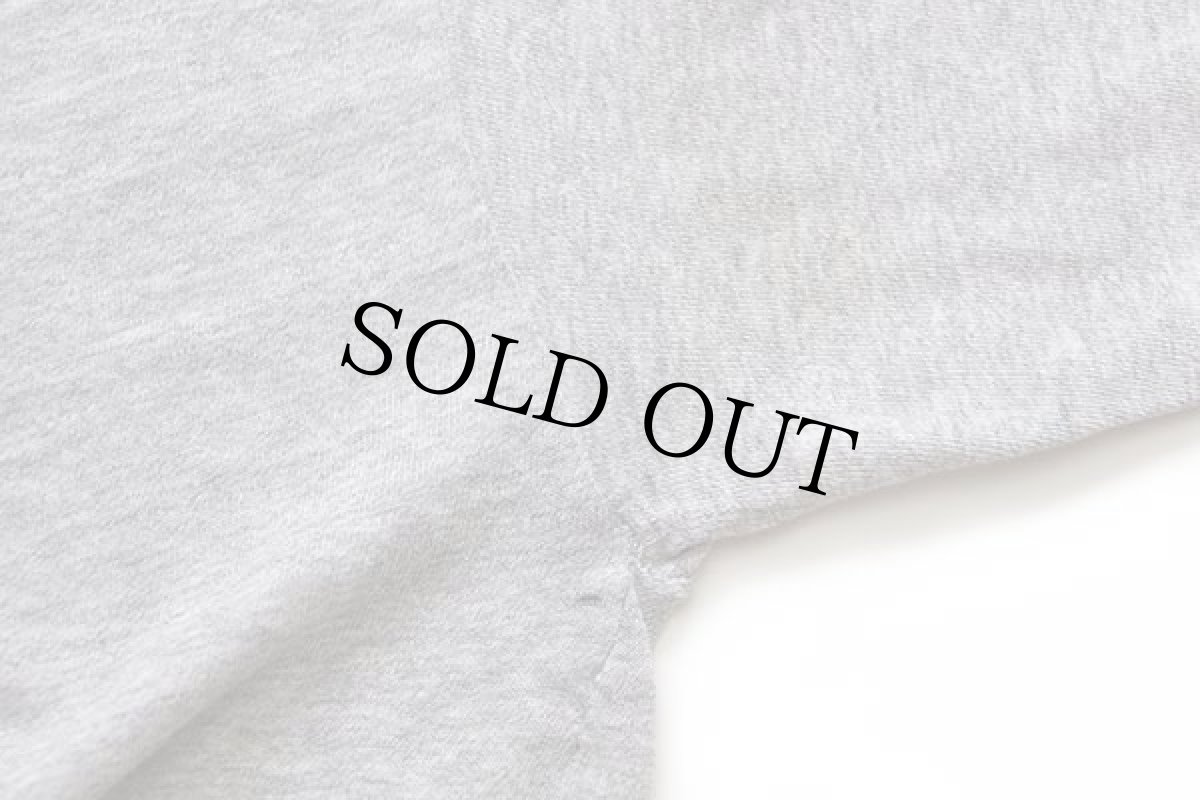 画像6: 90s Championチャンピオン MICHIGAN FOOTBALL Rose Bowl アメフト 四段プリント Tシャツ 杢グレー S (6)